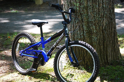 photo of a mountain bike leaning against a tree