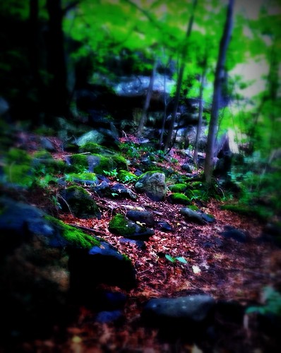Own trail. | by Papa Razzi1