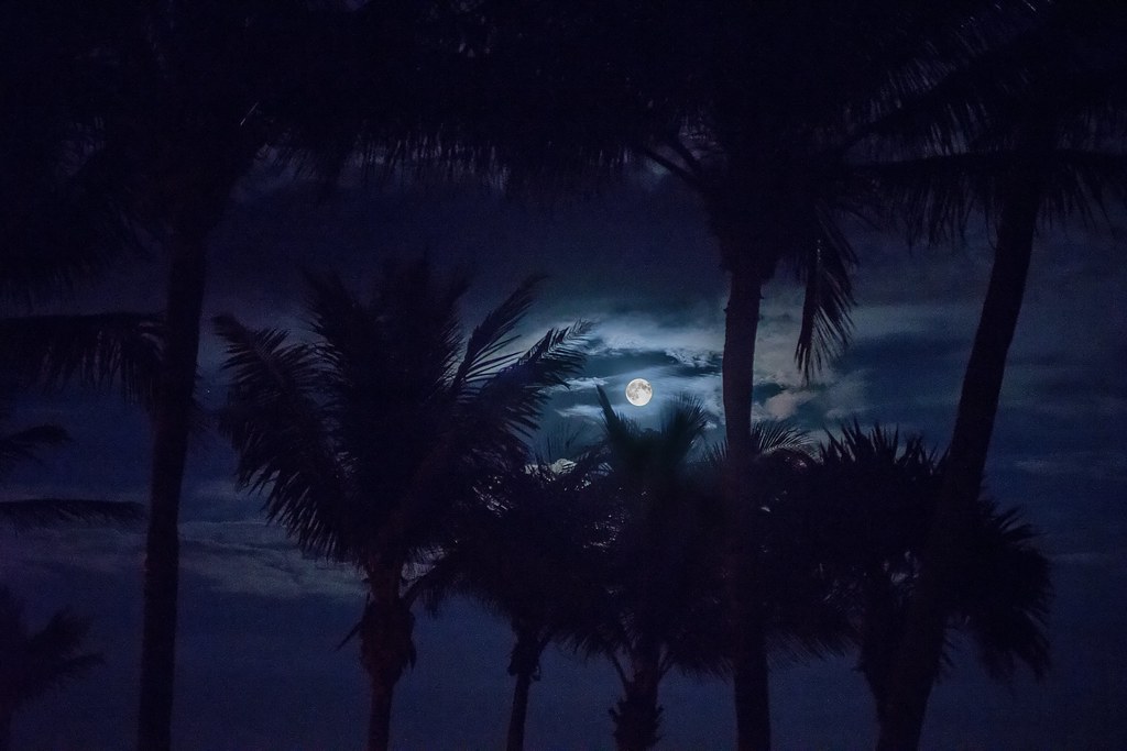 Moonrise Over Mexico