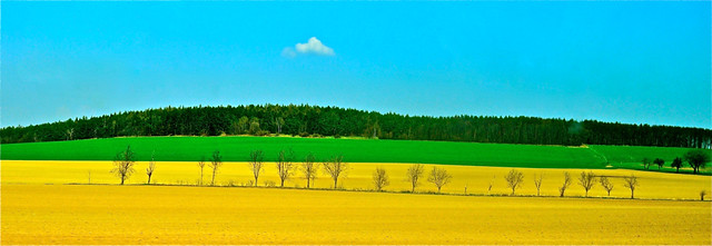 Czech countryside and the lonely cloud