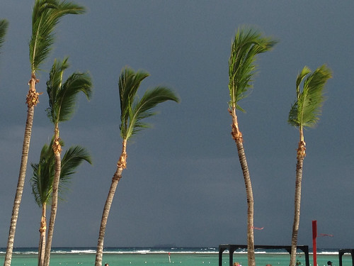 sunset beach dominicanrepublic palmtrees caribbean darkclouds santodomingo bocachica repúblicadominicana