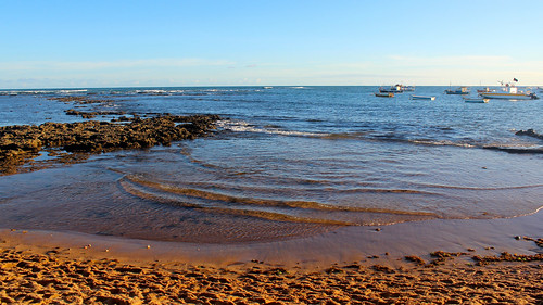 brazil praia beach nature brasil natureza bahia praiadoforte outubro2013