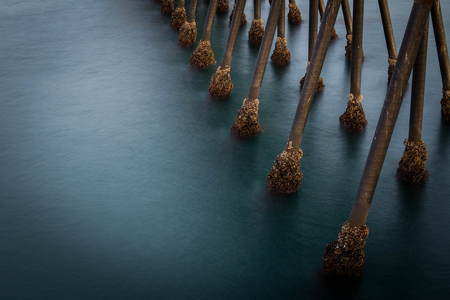 Pier Legs, Imperial Beach, California, USA