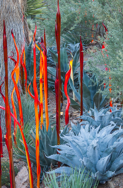 Chihuly Cattails