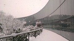 Jardin botanique Henri Gaussen sous la neige