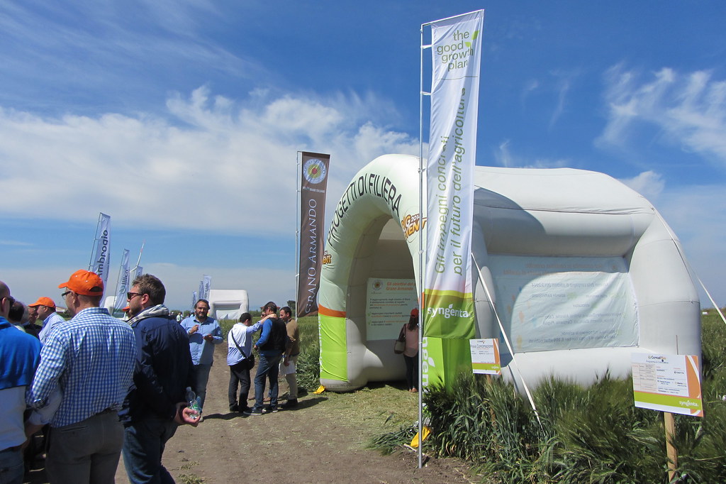 Syngenta in campo - BigEvent Cereal Plus 2014 5482