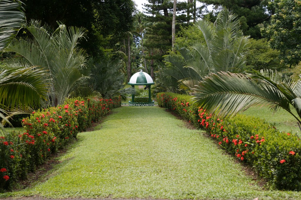 St. Vincent and the Grenadines Botanical Gardens - oldest … | Flickr