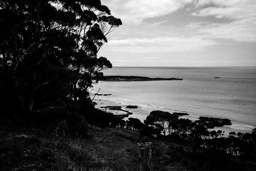 leica film analog australia tasmania “black white” photography” film” 200” “leica boatharbourbeach “film 35mm” m6” “fomapan “summicron “shoot