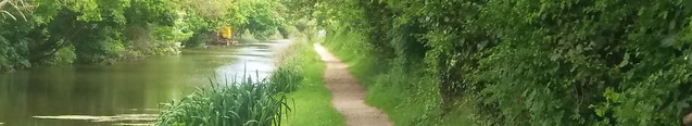chichester-canal-towpath 