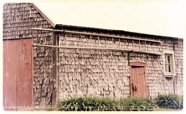 Detail of old shed