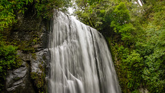 Top of Korokoro Falls