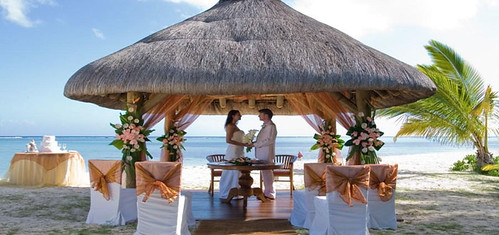 Destination Wedding Planner | by celina907