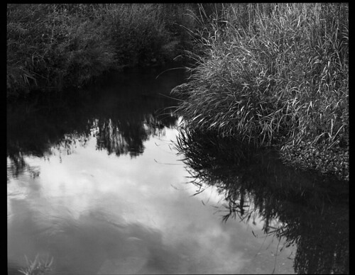 Trout Stream Reflection | by CreativeMJP