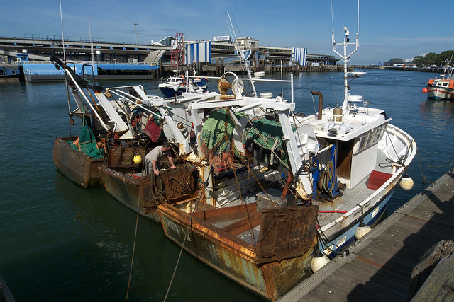 Boulogne-sur-Mer, port de pêche