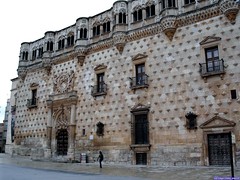 01-Palacio del Infantado (15)