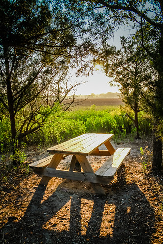 Bench by Photos By RM, Taken at Shem Creek Park in Mount Pleasant, South Carolina.park sunset sea sc weather creek bench ta