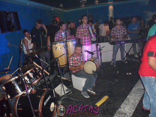 Acatas Fiestero | Flickr