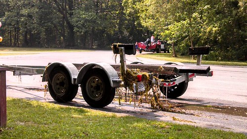 Trailer with Vegetation | by cwhittak