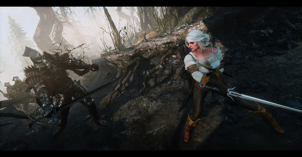 The Witcher 3: Wild Hunt: Kuzey Krallıklarının Efsanesi — İncelemeler kapak görseli