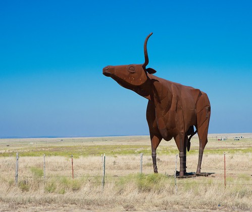 ranch statue us nikon texas unitedstates steel bluesky bull longhorn throckmorton longhorncattle joebarrington d7200 bridlebitbull