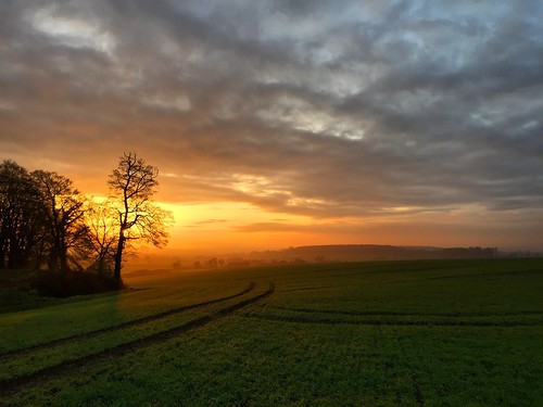winter 2016 four marks hampshire country countryside sunset sundown fields trees ropley soke