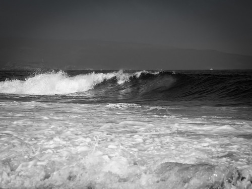 OLYMPUS DIGITAL CAMERA | Andrew Kim | Flickr