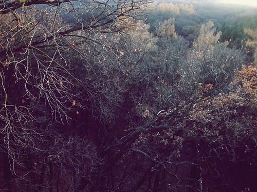 9 | by Richard Hodonicky
