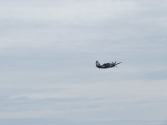 Sat, 06/11/2016 - 11:07am - Curtiss SB2C Helldiver, flown by CAF Air Power Squadron, Nashua, NH 6-11-2016
