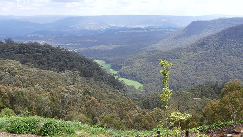 spring view australia scene bluemountains valley nsw outlook medlowbath megalongvalley centraltablelands
