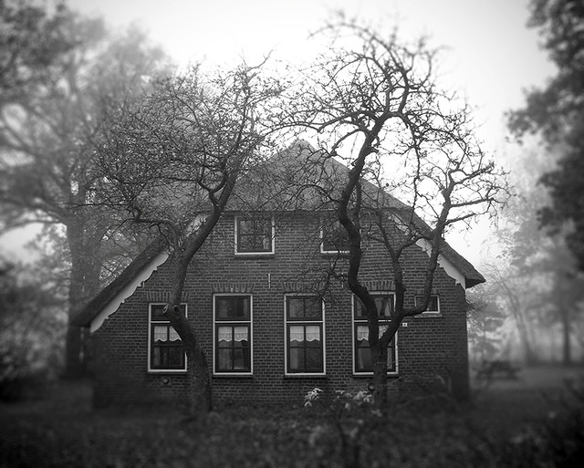Dutch farm in gloomy weather