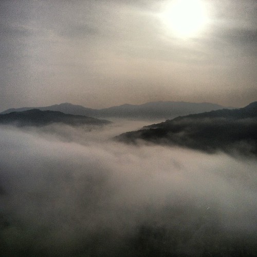 #vivaldipark #sonofelice #sunrise #morningmist #foggymountains by lawdrukus, square squareformat iphoneography instagramapp uploaded:by=instagram foursquare:venue=4c2ed7c83896e2