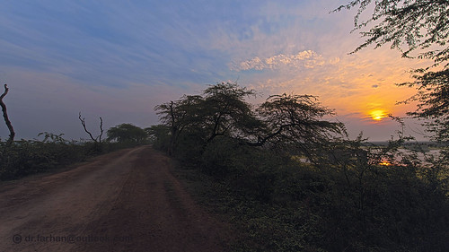 sunrise walking nikon head path passion nationalgeographic naturelover d600 marala nikkor70200mmf28 headmarala