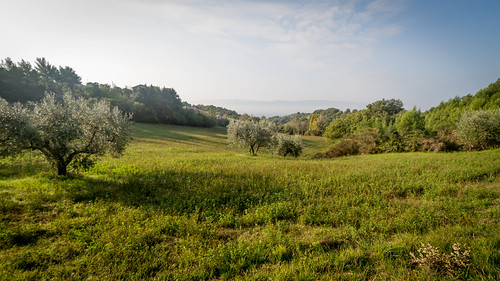 Valley of 1,000 Hills