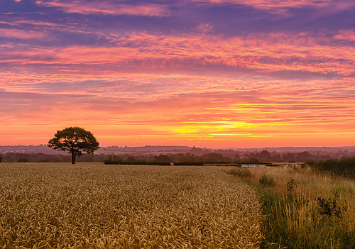 Wheatfield Dawn by jactoll, Wonderful dawn sky yesterday morning.
I was going to clone out the verge but decided to leave it bec