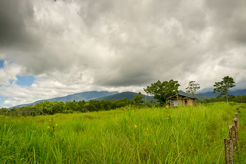 landscape philippines bukidnon