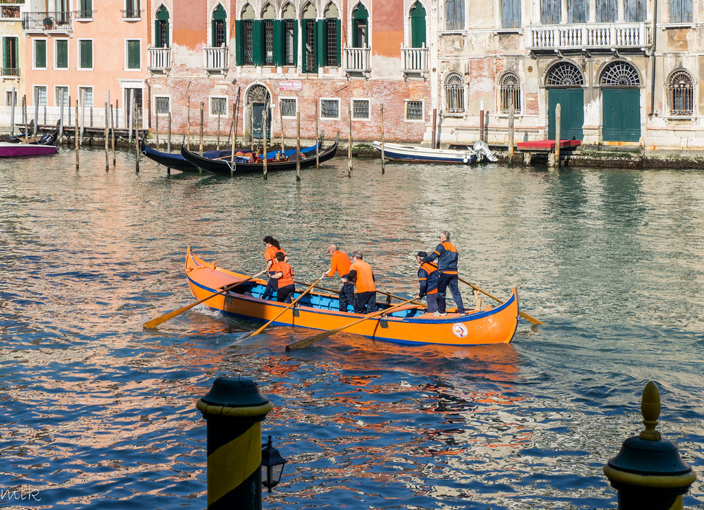 Rowing on Grand Canal. Venice 2014