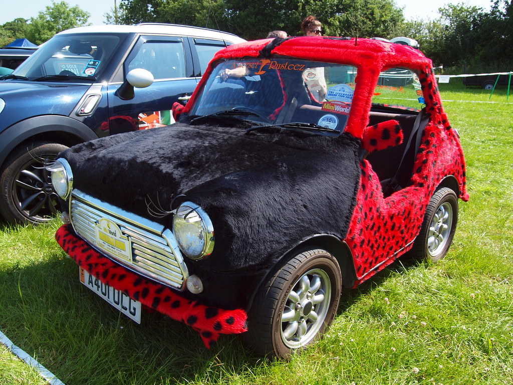 Furry Mini !! | Culmstock Wheels, Devon, UK | Andy | Flickr