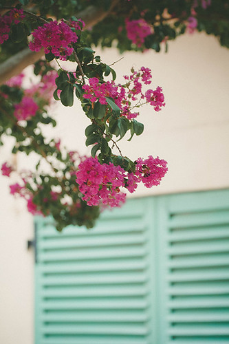 Window | by Gabriela Tulian
