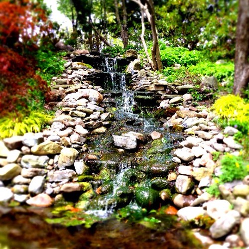 Cornell Campus #garden #waterfall #cornellmba #cornell #spring