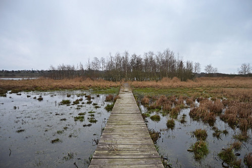 water landscape denmark europe zealand danish marsh scandinavia danmark sjælland svogerslev