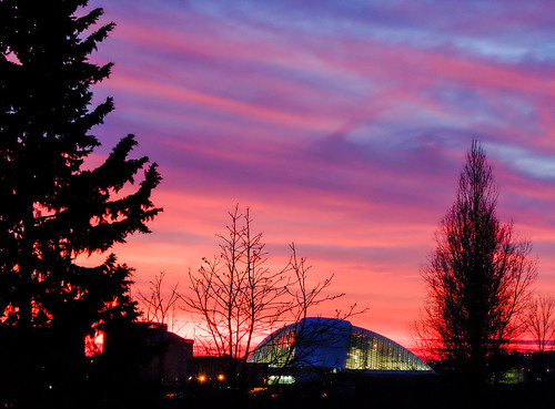 sunset red sky building architecture clouds georgia parliament leafless kutaisi