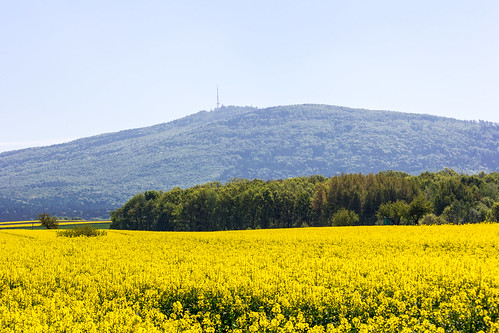 spring poland wiosna krajobraz ślęża świdnica dolnośląskie województwodolnośląskie gminamarcinowice