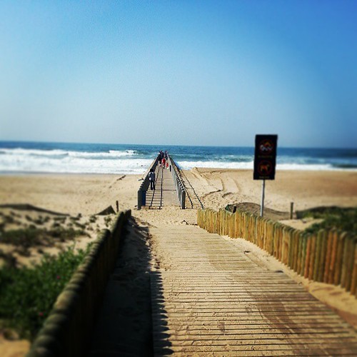 Durban Beach