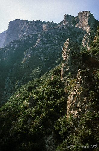 travel trees film rock 35mm rocks europe hiking 1988 slide greece quartzite scannedslide mtolympus pieria makedoniathraki