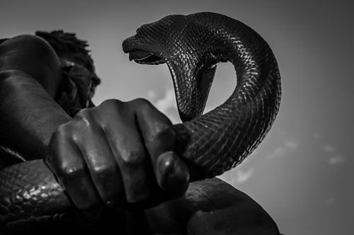 The Serpent | by Mad Eejit