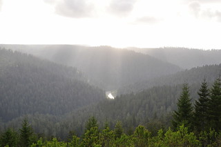 Redwood reek Overlook