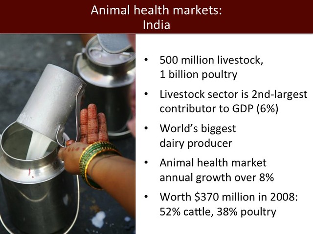 Animal health markets: India | Slide 31 by Jimmy Smith, dire… | Flickr