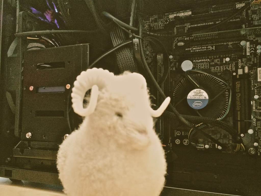 羊公仔在電腦前