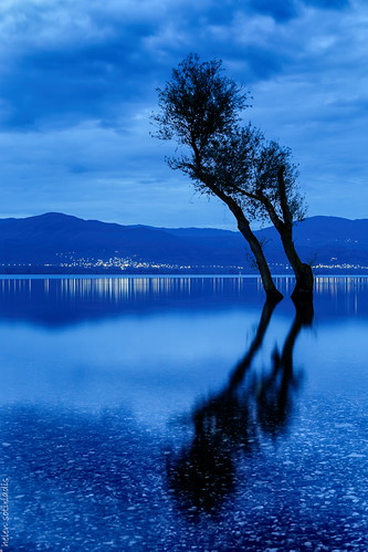 longexposure morning blue lake black reflection tree public silhouette canon landscape dawn lights published greece bluehour waterscape canonef50mmf14usm agrinio canoneos6d trichonida ayearofpictures2013