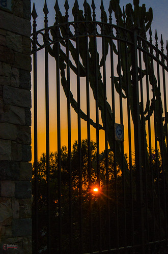 travel blue sunset summer cactus italy orange sun backlight nikon italia tramonto estate gates blu sicily sole viaggio sicilia controluce cancello arancione terrasini d3100